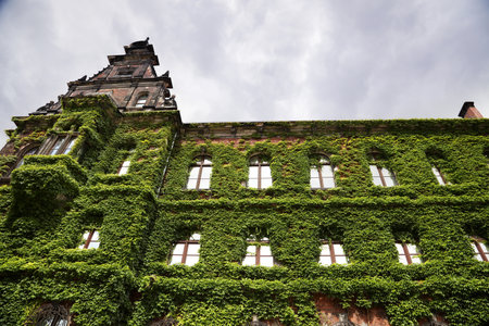 National museum with green wild grapes in Wroclaw, Poland.のeditorial素材