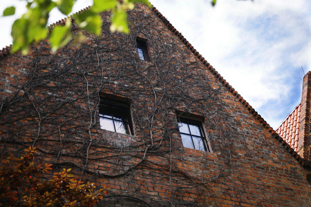 An old brick house with a green branch in Wroclawの写真素材