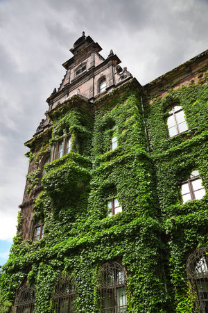 National museum with green wild grapes in Wroclaw, Poland.のeditorial素材