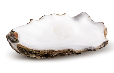 Fresh oyster isolated with shadow on white background. Clipping path.の写真素材