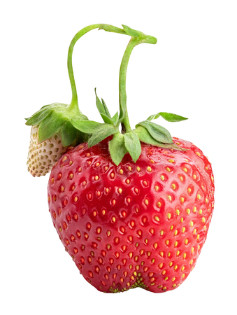 Juicy strawberries  isolated on a white backgroundの写真素材