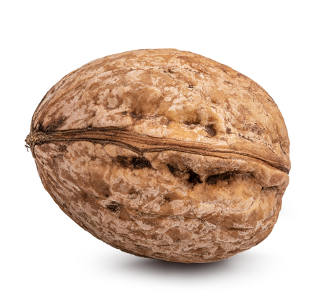 Walnut isolated on white background. Clipping pathの写真素材