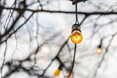 New year lighting. Blurred unfocused backgroundの写真素材