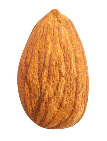 Almond isolated on white background. Clipping pathの写真素材