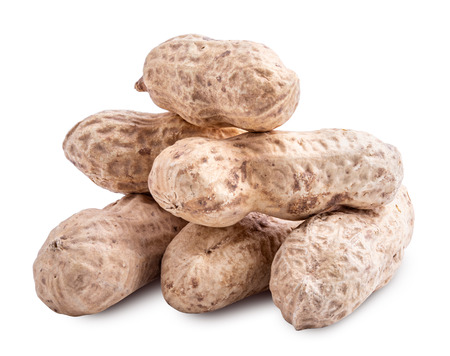 Peanut isolated on white background. Clipping path