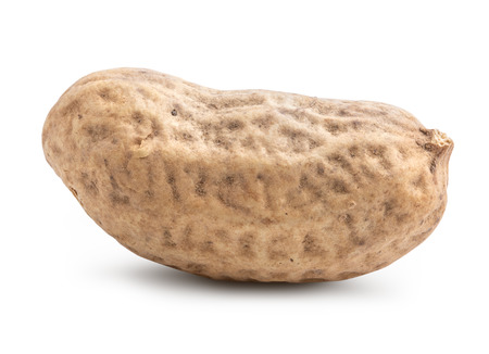 Peanut isolated on white background. Clipping pathの写真素材