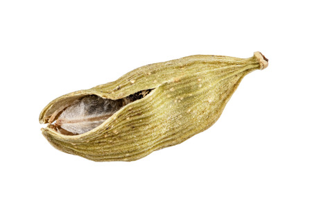 Cardamom isolated on white background. Clipping pathの写真素材