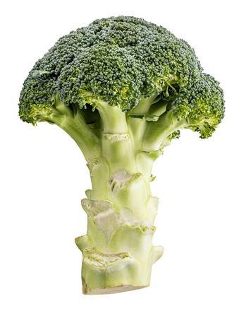 Broccoli isolated on white backgroundの写真素材