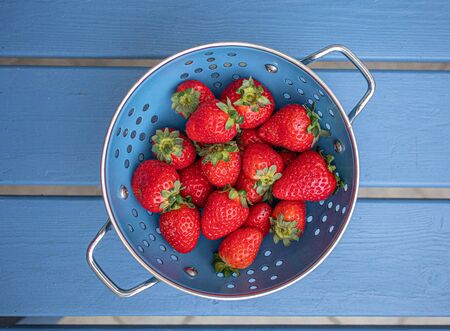Fresh strawberries in a blue colander 