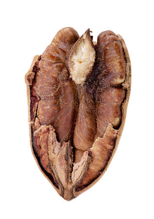 Pecan nut isolated on white background. Clipping pathの写真素材