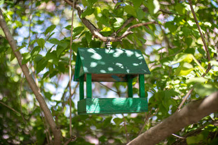 Feeder for birds on a treeの写真素材