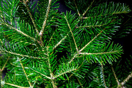 Background of christmas tree wreath. Wallpaper