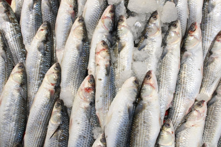 Fresh fish at the fish stall.