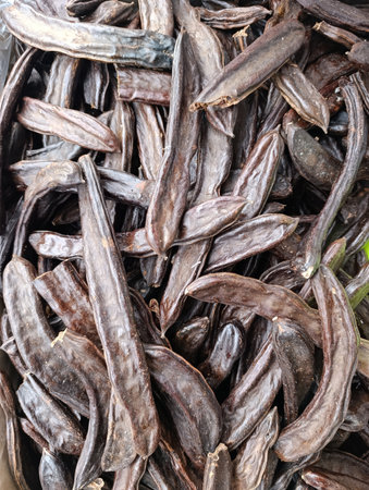 The carob (Ceratonia siliqua) is a flowering evergreen tree or shrub in the Caesalpinioideae sub...
