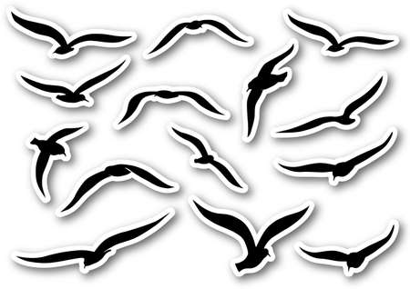 Blue seagulls over paperのイラスト素材
