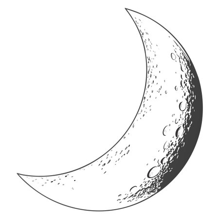 A sleek and simple crescent moon icon in a minimal artistic style, perfect for nighttime themes, sleep logos, or celestial designs.のイラスト素材