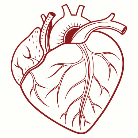 A charming hand-drawn heart outline sketch on a white background, ideal for Valentine's Day, wedding invites, and romantic themes.のイラスト素材