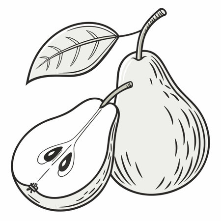 A detailed illustration of a fresh, ripe green pear, rendered with subtle highlights that give it a realistic and appealing look on a white background.のイラスト素材