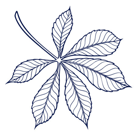 Artist-sketched leaf outline illustration on white background, versatile for seasonal decorations, branding, and minimalist graphic design.のイラスト素材