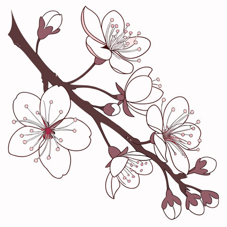 Beautiful blooming cherry blossom branch with delicate pink petals in a soft pastel aesthetic, perfect for spring themes.のイラスト素材