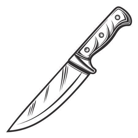 A sharp, polished stainless steel dining knife, cleanly isolated on a white background, perfect for...