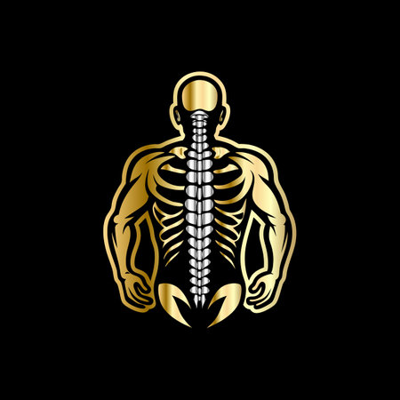 Human skeleton anatomy on black background. Vector illustration for your design.のイラスト素材