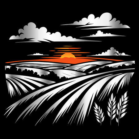 Wheat field with sun and clouds on black background. Vector illustration.のイラスト素材
