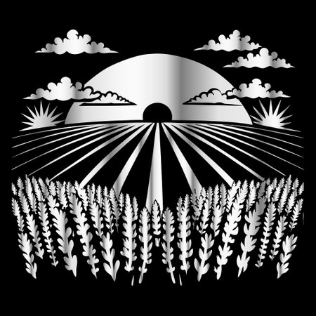 Illustration of wheat field with sun and clouds on black background.のイラスト素材