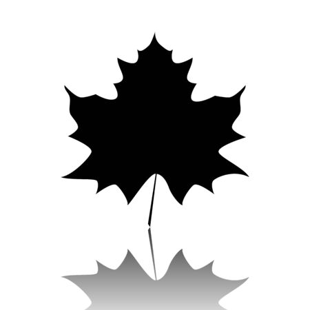 Maple leaf. Black vector illustration with reflection.のイラスト素材