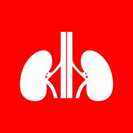 Human kidneys sign. White icon on red background.のイラスト素材