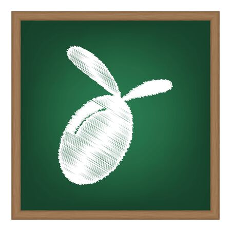 Olive sign illustration. White chalk effect on green school board.のイラスト素材