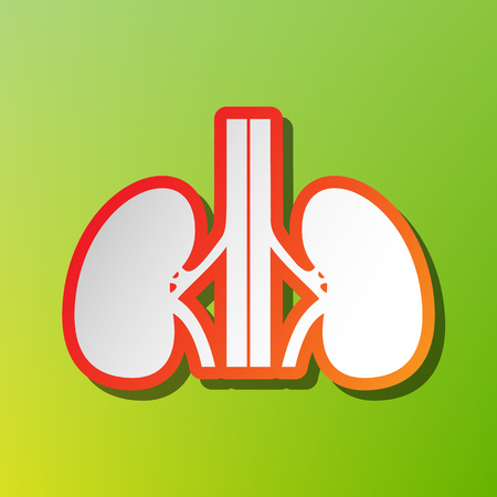 Human kidneys sign. Contrast icon with reddish stroke on green backgound.のイラスト素材