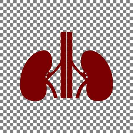 Human kidneys sign. Maroon icon on transparent background.のイラスト素材