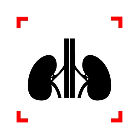 Human kidneys sign. Black icon in focus corners on white background. Isolated.のイラスト素材