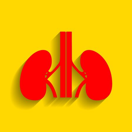 Human kidneys sign. Vector. Red icon with soft shadow on golden background.のイラスト素材