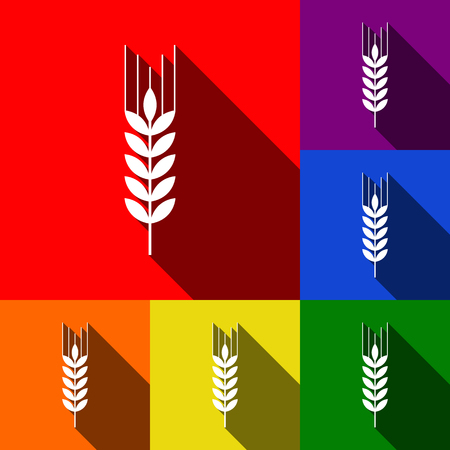 Wheat sign illustration. Spike. Spica. Vector. Set of icons with flat shadows at red, orange, yellow, green, blue and violet background.のイラスト素材