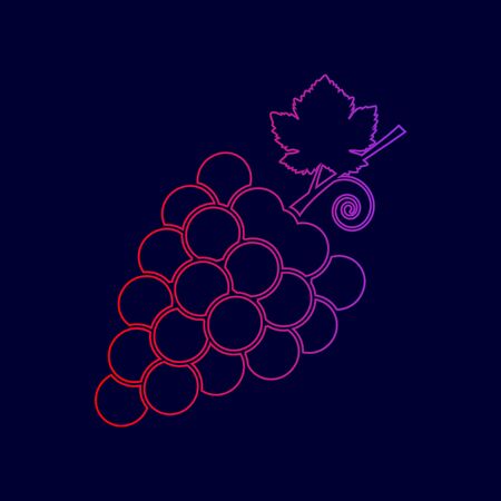 Grapes sign illustration. Vector. Line icon with gradient from red to violet colors on dark blue background.のイラスト素材