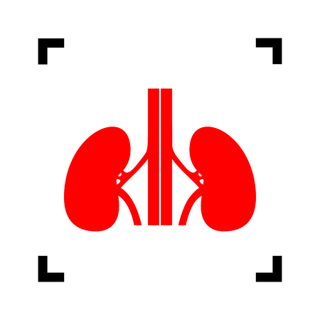 Human kiddneys sign. Vector. Red icon inside black focus corners on white background. Isolated.のイラスト素材