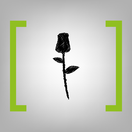 Rose sign illustration. Vector. Black scribble icon in citron brackets on grayish background.のイラスト素材