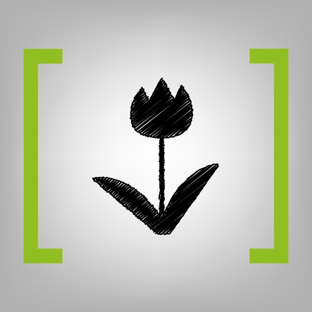 Tulip sign. Vector. Black scribble icon in citron brackets on grayish background.のイラスト素材