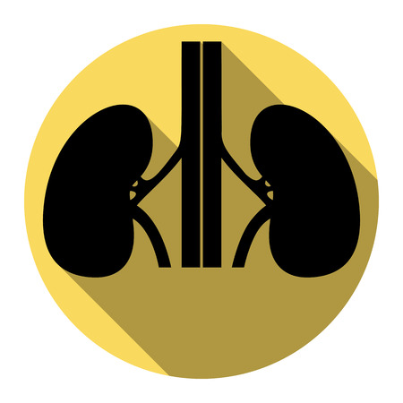 Human kiddneys sign. Vector. Flat black icon with flat shadow on royal yellow circle with white background. Isolated.のイラスト素材