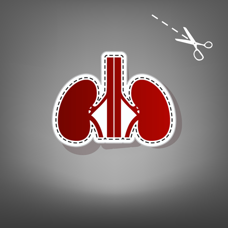 Human anatomy. Kidneys sign. Vector. Red icon with for applique from paper with shadow on gray background with scissors.のイラスト素材