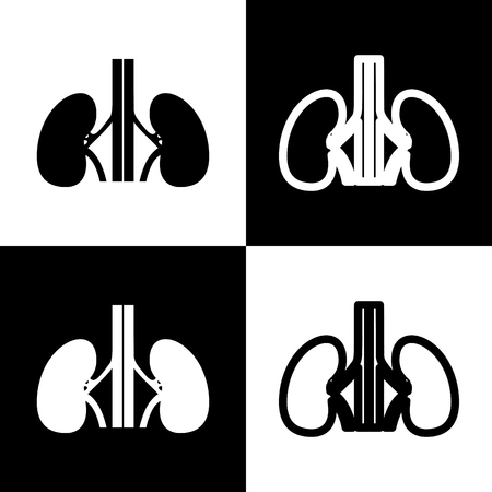Human anatomy. Kidneys sign. Vector. Black and white icons and line icon on chess board.のイラスト素材