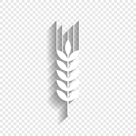 Wheat sign illustration. Spike. Spica. Vector. White icon with soft shadow on transparent background.のイラスト素材