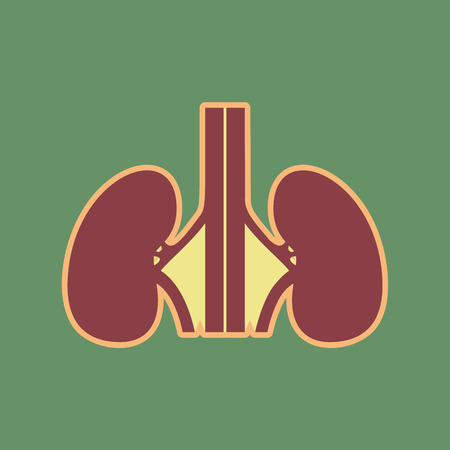 Human anatomy. Kidneys sign. Vector. Cordovan icon and mellow apricot halo with light khaki filled space at russian green background.のイラスト素材