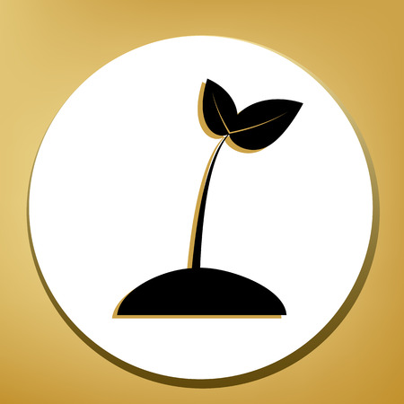 Sprout sign illustration. Vector. Black icon with light brown shadow in white circle with shaped ring at golden background.のイラスト素材