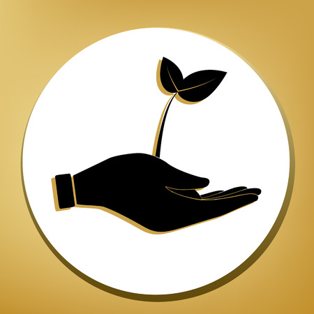 Sprout in a hand sign of environmental protection. Vector. Black icon with light brown shadow in white circle with shaped ring at golden background.のイラスト素材