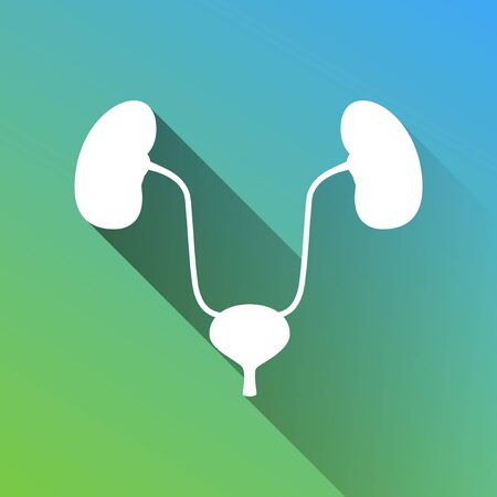 Urogenital system sign. White Icon with gray dropped limitless shadow on green to blue background.のイラスト素材