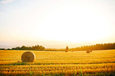 Hokkaidoの写真素材