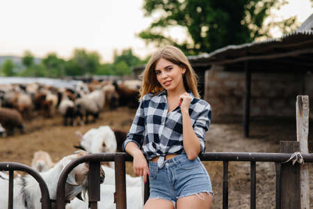 A young pretty girl poses on a ranch with goats and other animals. Agriculture, livestock breedingの写真素材